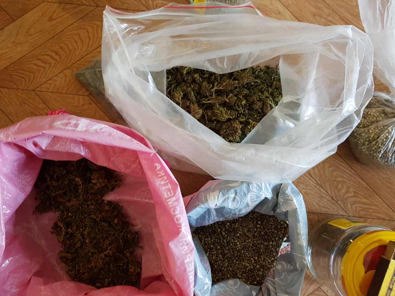 15 лет за 250 кустов конопли: полицейские нашли необычный сад пензенца