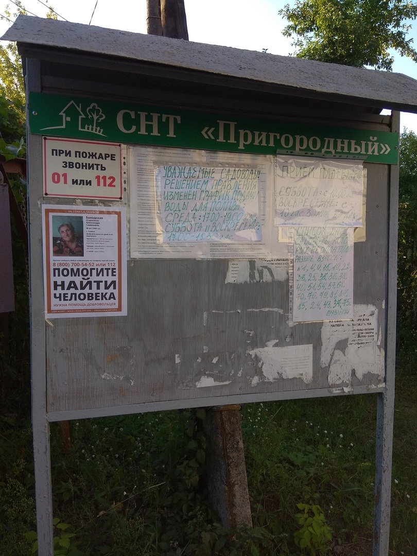 В Пензе на вокзале нашли бабушку с собачкой, пропавшую в Тамбове