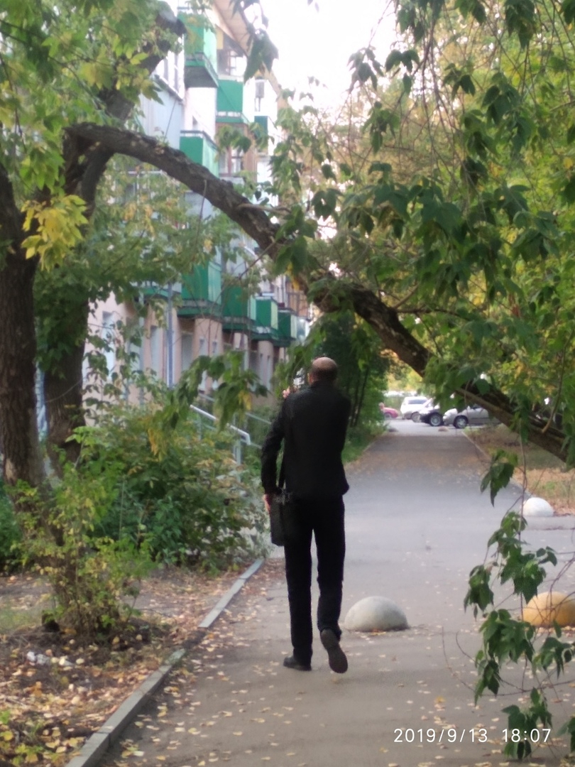 Боимся, что на головы рухнет: в Пензе дерево "угрожает" пешеходам