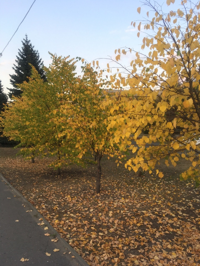 В Пензенской области температура упадет до +4 градусов