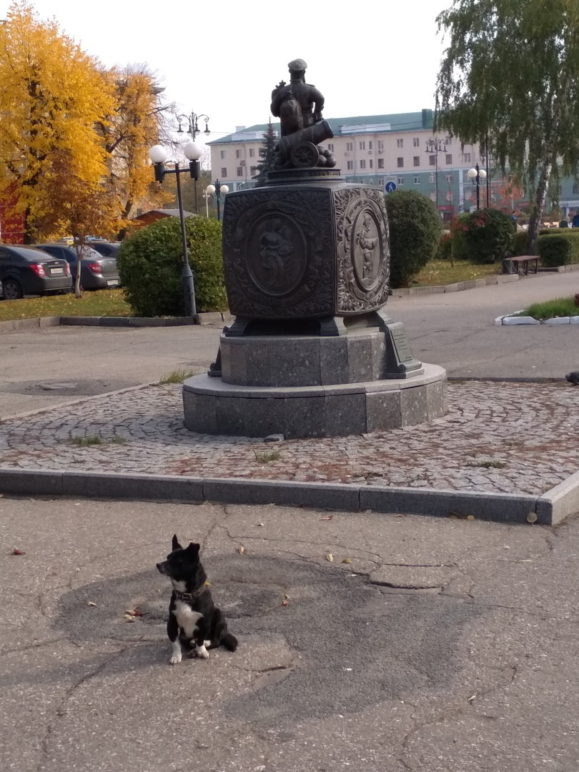 В Пензе на улице Московской появился "хатико"