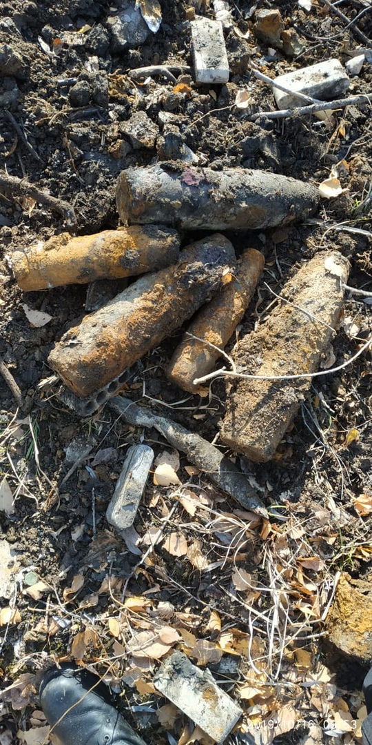 Пензенец нашел в лесу 12 военных снарядов