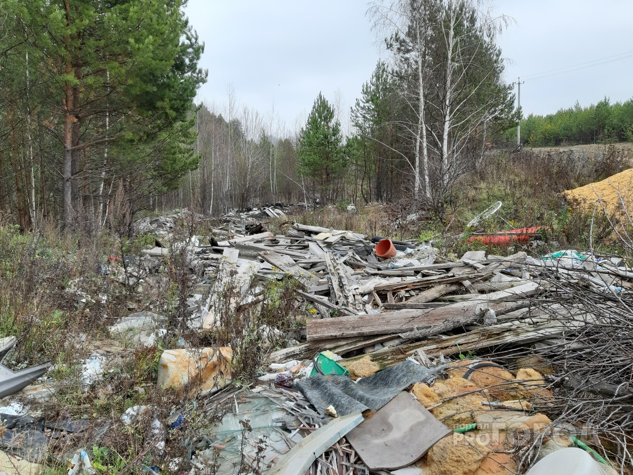 В поселке Золотаревка Пензенской области обнаружена стихийная свалка