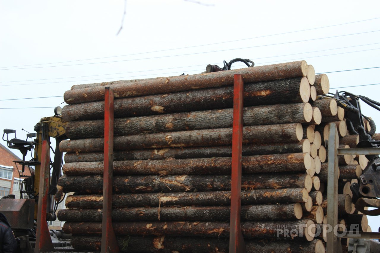 В пензенском регионе сельчанин вырубил 23 кубометра леса