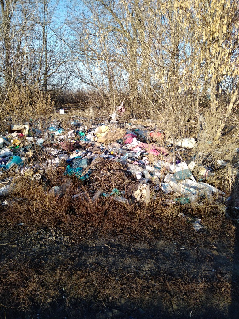 Жители пензенского села выбрасывают мусор из машин в посадки