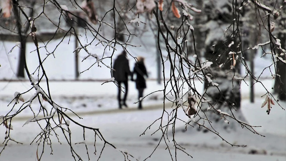 "Розовый февраль": синоптики предупреждают пензенцев об аномальной погоде