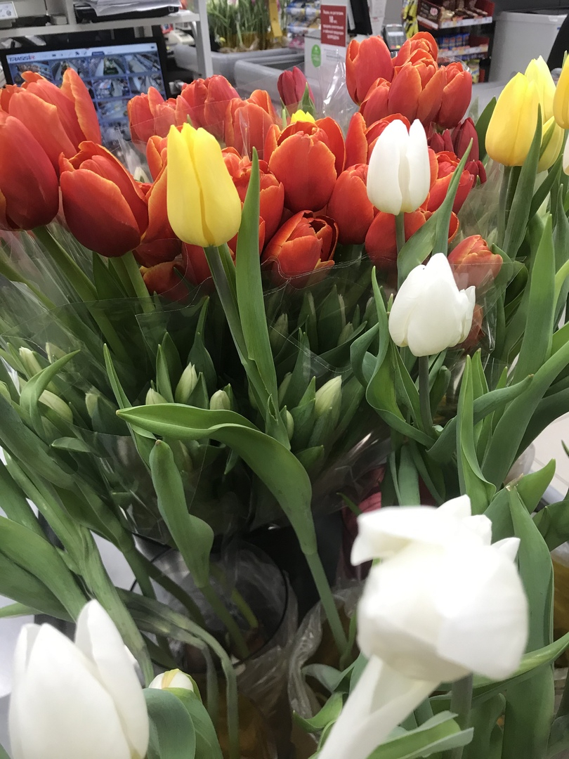 В Пензе к  8 Марта будут открыты цветочные ярмарки