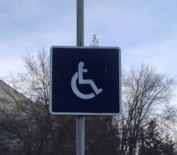 "Такой закон нужен был": в Пензе инвалидов не смогут ущемлять в правах