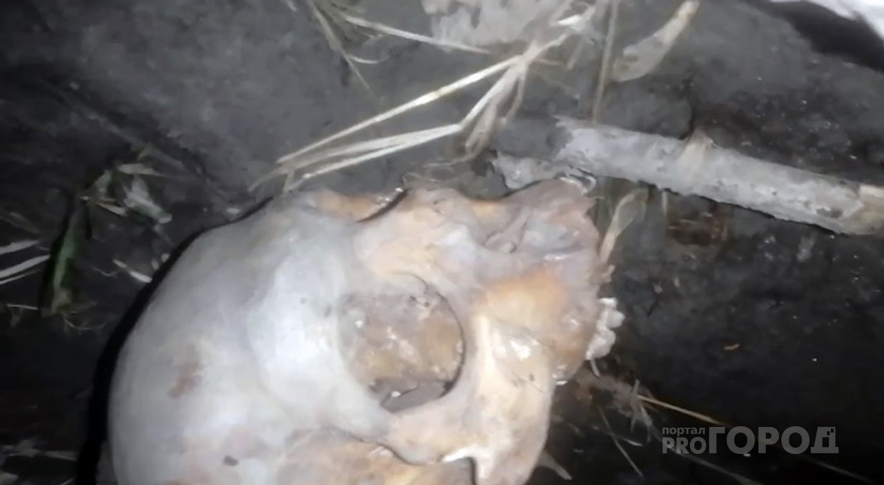 Шок! Под Пензой нашли человеческий череп – видео