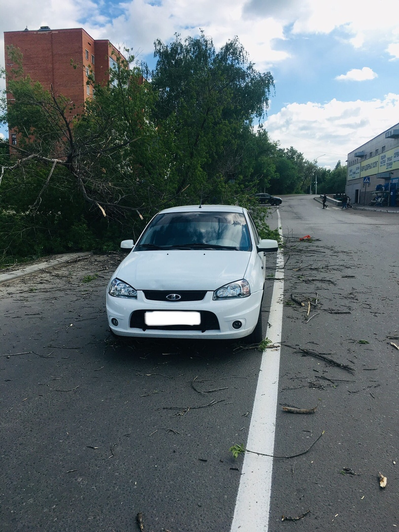 В Пензе упавшее дерево накрыло проезжавший автомобиль