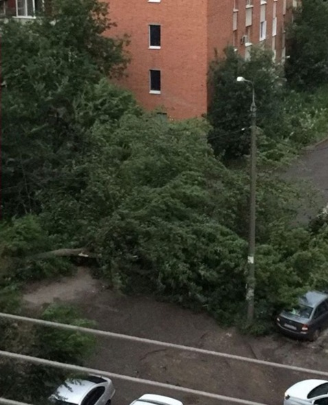 В Пензе из-за урагана срывало крыши и вырывало деревья - видео