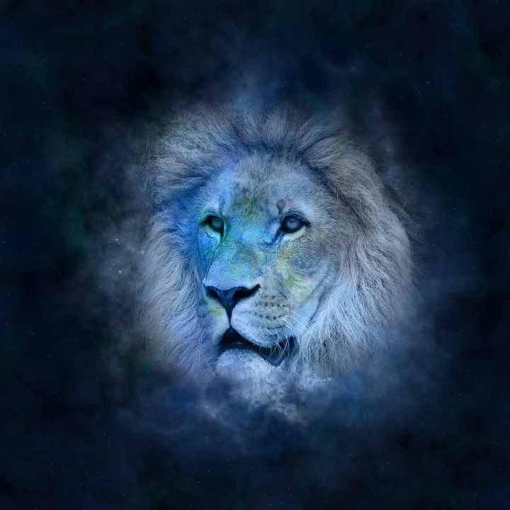Львы сегодня лидеры: гороскоп на 7 августа