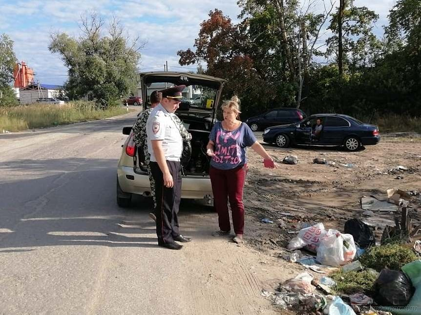 За свалки вдоль дороги пензенских дачников привлекли к ответственности