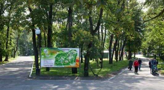 В мэрии рассказали, как воспользоваться бесплатными флаерами на День города