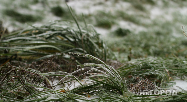 «Заморозит»: с воскресенья на понедельник ударит заморозок в Пензенской области