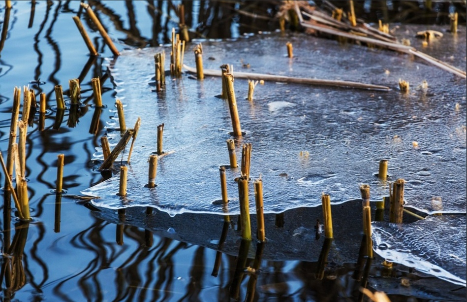 В Пензенской области могут появиться штрафы за прогулки по льду