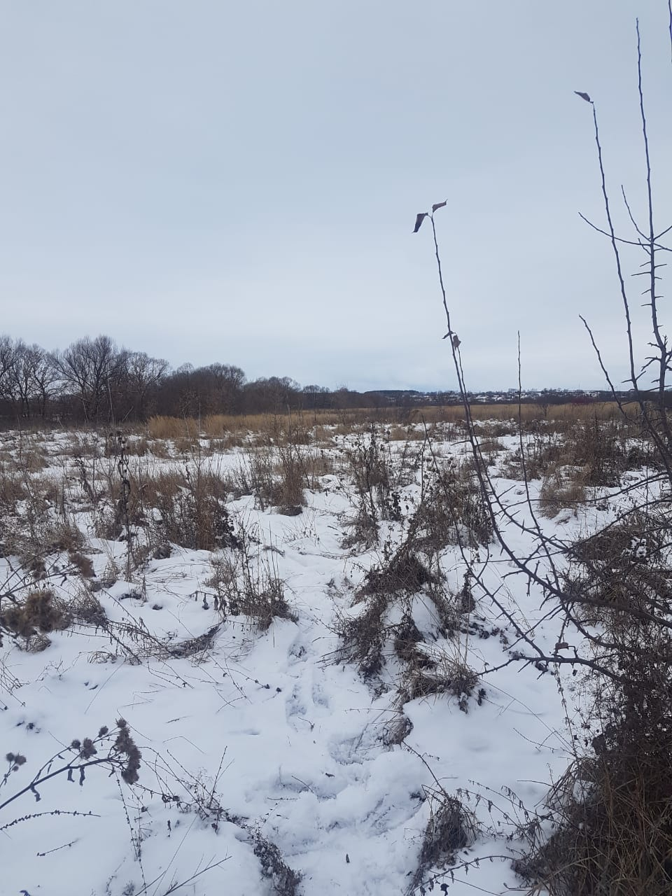 Нашли в снегу: в Каменском районе обнаружили труп пропавшего мужчины