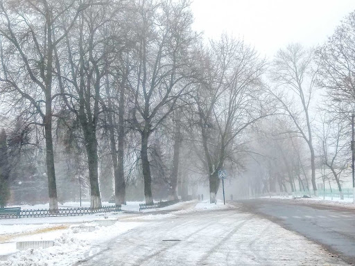 Туман и гололед: синоптики озвучили прогноз для Пензенской области