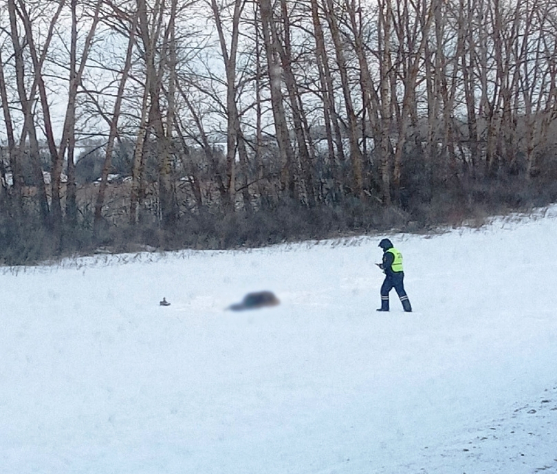 Стала известна личность погибшего, найденного в снегу под Нижним Ломовом