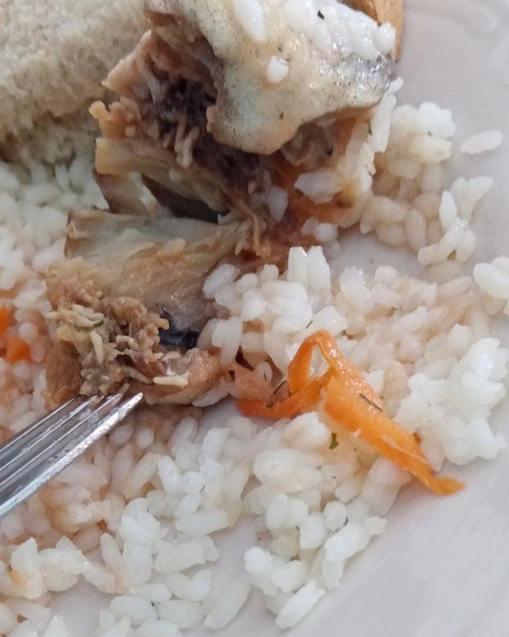 «Кошмар!»: в Пензе детей в школе накормили опарышами