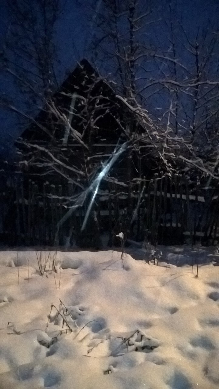 Пензенский лыжник заблудился в темном лесу