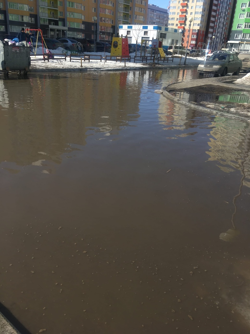 Лужа размером с село: как Засечное становится болотом