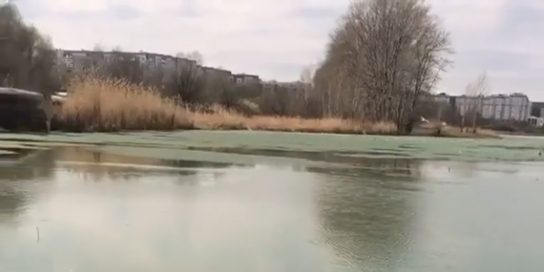 «Белоглазые трупики»: в Пензе на озере у больницы обнаружили «могильник»