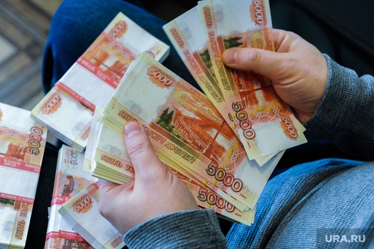 По 5650 рублей: Минтруд объяснил, как получить новые выплаты на детей