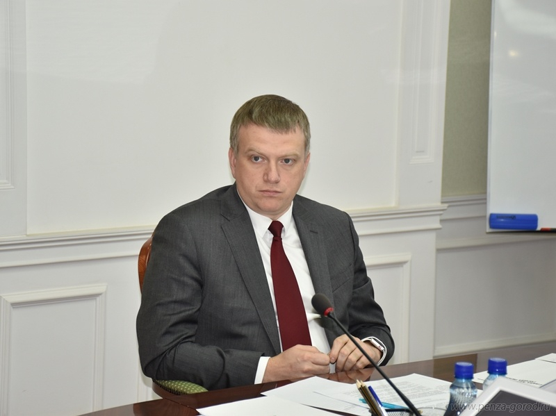 Мэр Пензы Андрей Лузгин отчитался о доходах за год