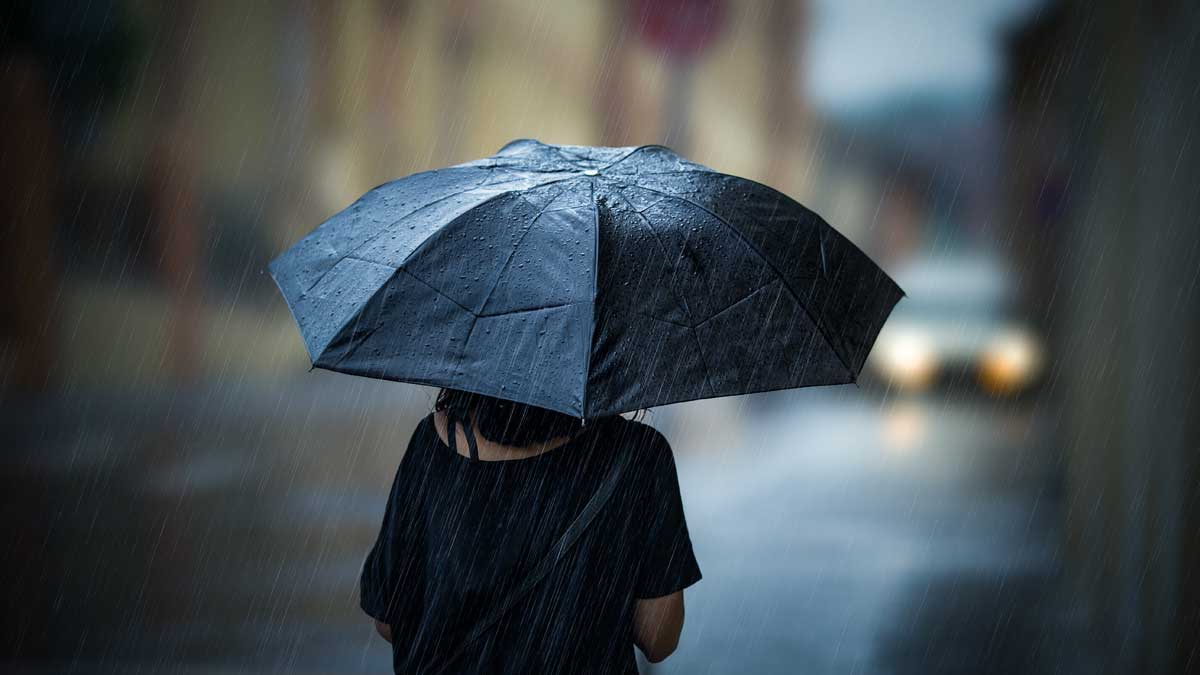 «Вернутся дожди»: синоптики рассказали прогноз погоды в регионе