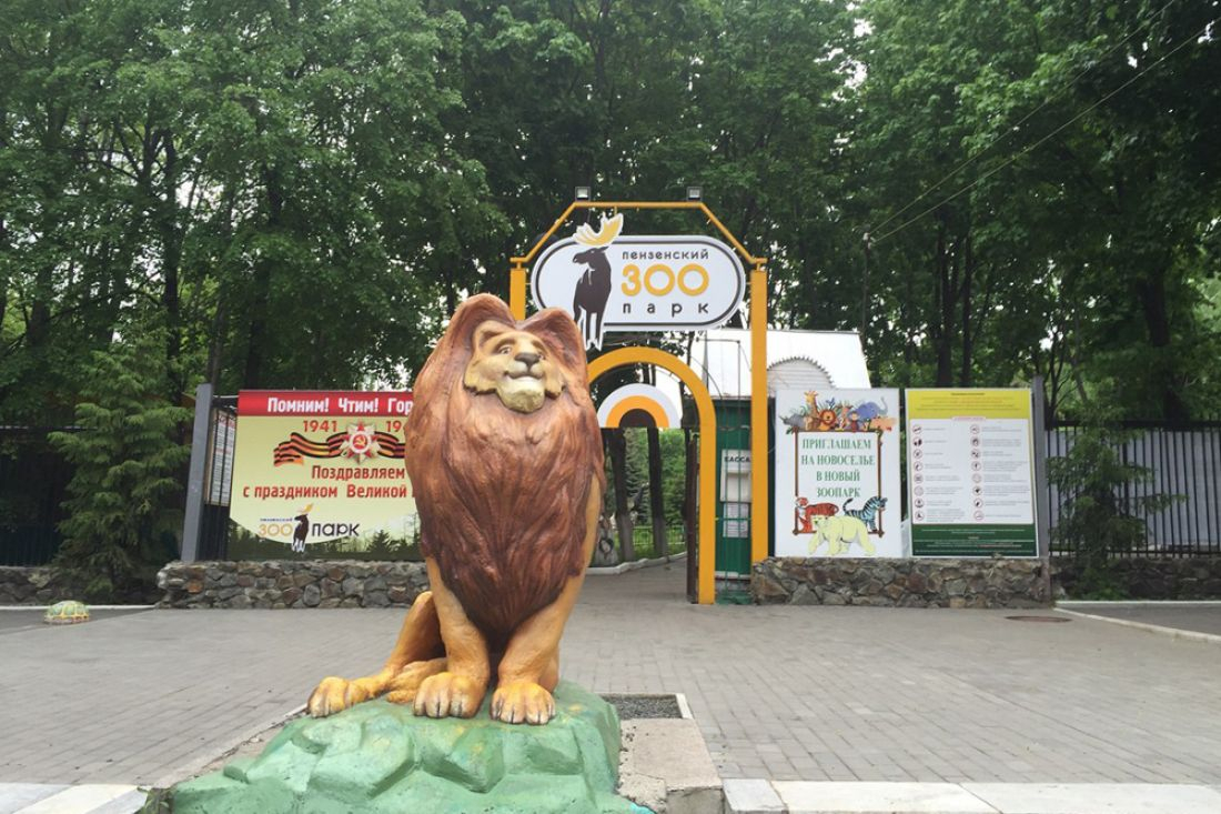 Гостям Пензенского зоопарка напомнили о бесплатной парковке неподалеку