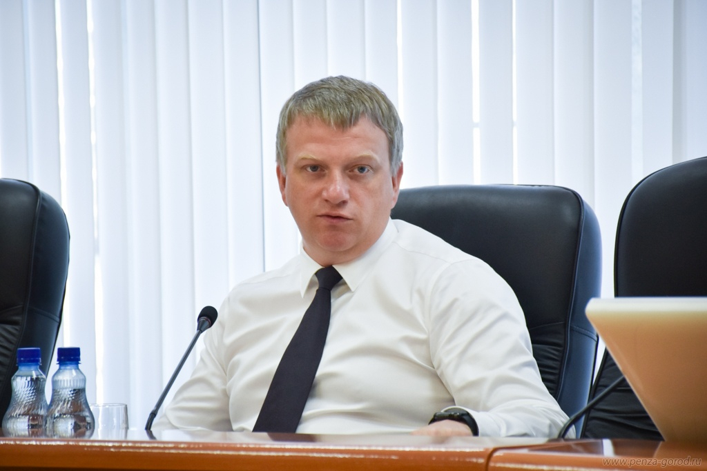 Лузгин поручил навести порядок с безнадзорными собаками в Пензе