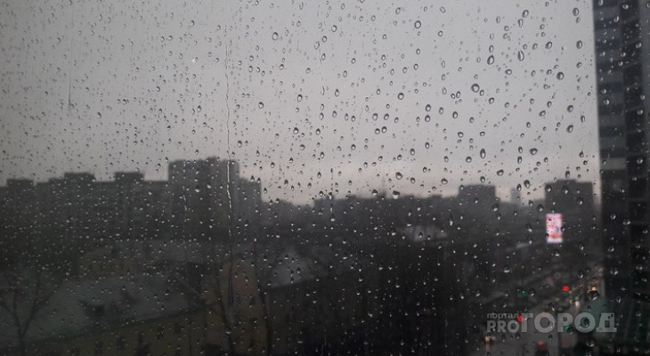 «Дожди и грозы»: синоптики озвучили прогноз погоды в регионе