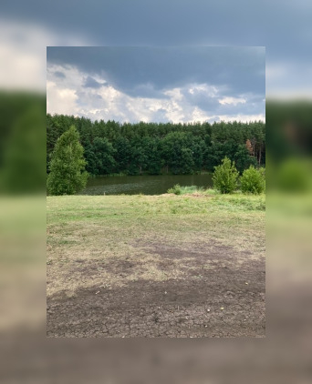 Следователи организовали проверку после гибели мужчины в пруду в Пензенской области