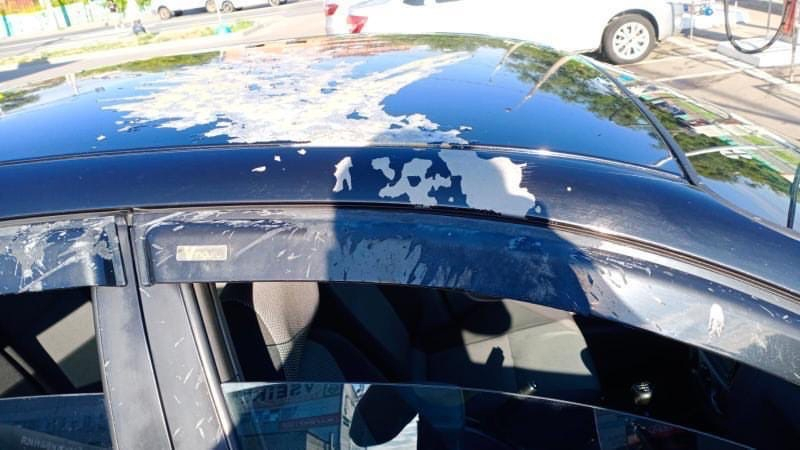 «Месть»: в центре Пензы автомобиль облили жидкостью для снятия краски
