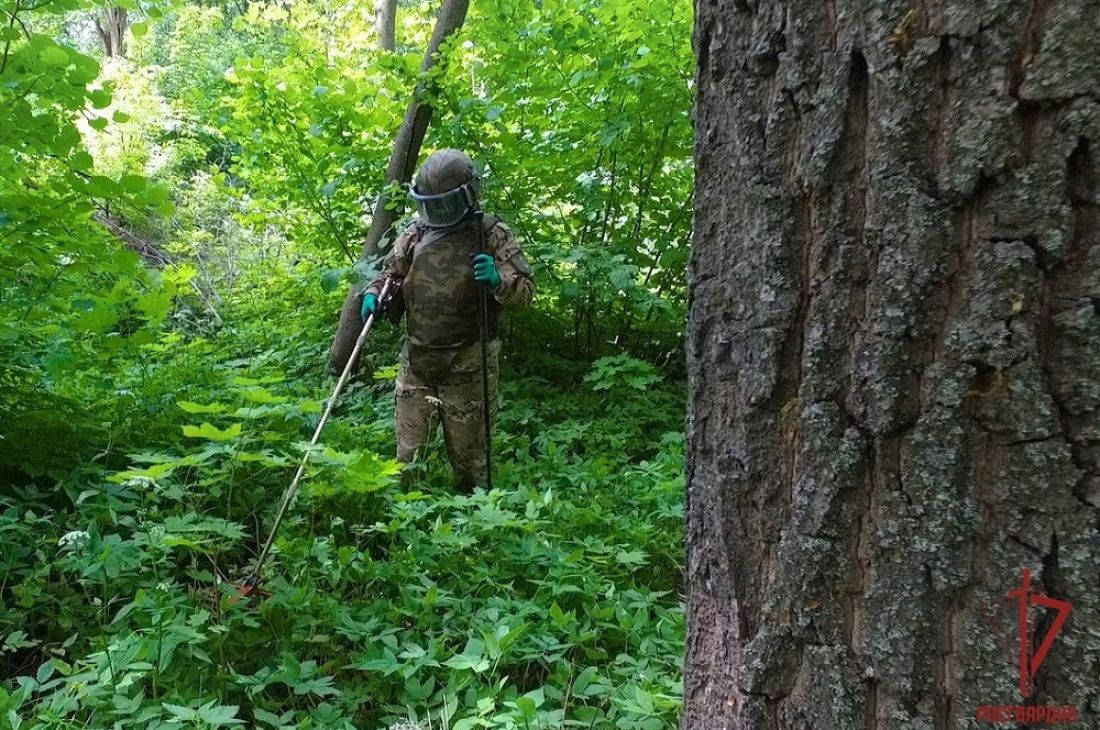Пензенец во время прогулки обнаружил ящик с патронами