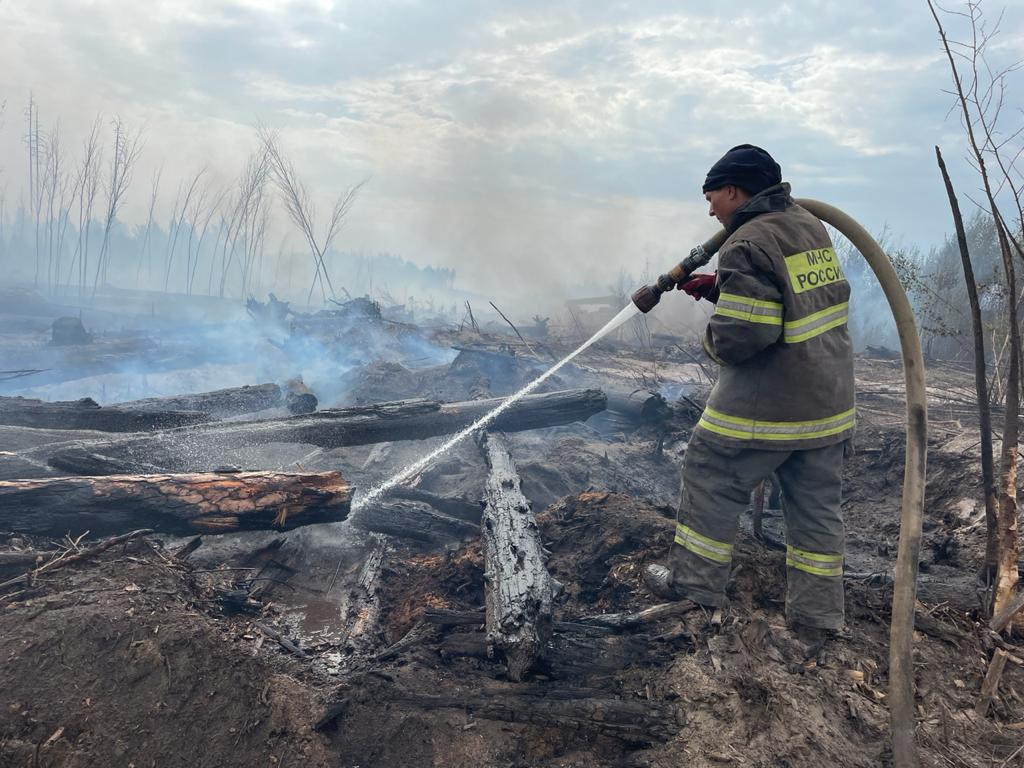 Пензенские спасатели круглосуточно борются с пожаром в Мордовском заповеднике