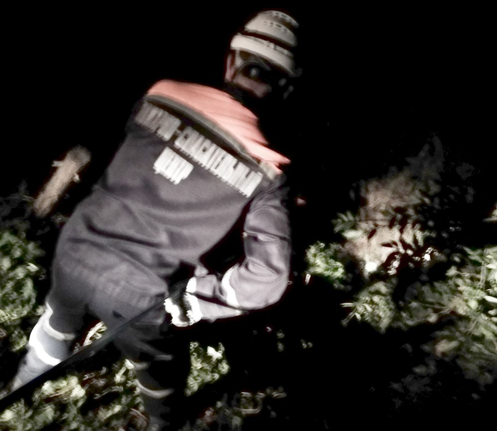 «Упал и потерял сознание»: в Пензе из глубокого оврага вытащили мужчину