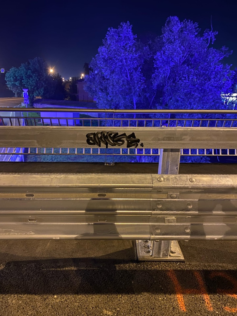 «Руки бы оторвать»: хулиганы изрисовали ограждения Бакунинского моста в Пензе