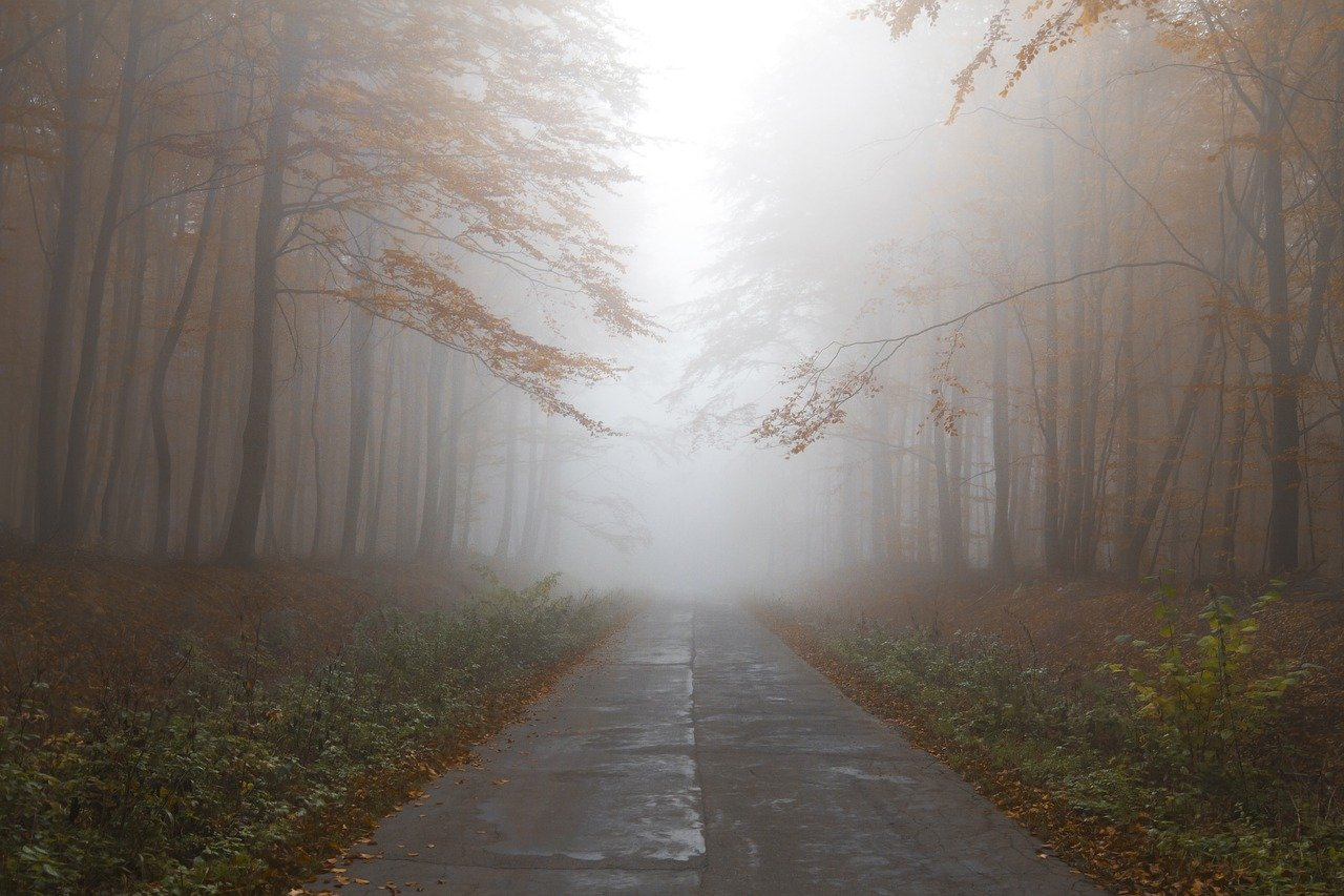 Жителей Пензенской области в понедельник ожидает сильный туман