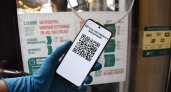 За отмену QR-кодов: пензенцы обратились в областной суд с иском