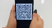 Пензенский суд привлек Роспотребнадзор к делу по иску об отмене QR-кодов 