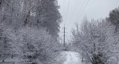 Снег, гололедица и сильный ветер: о прогнозе погоды в Пензе 