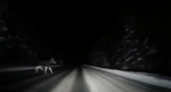 «Ситуация опасная»: под Пензой водитель избежал жесткой аварии с лосем