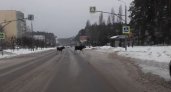 Цивилизованные: в Заречном пара лосей перешли дорогу по "зебре"
