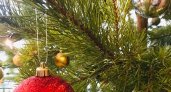 Пензенцам предлагают сдать для животных новогоднюю елочку 