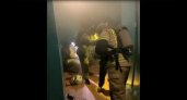 Включил плиту и уснул: очевидцы сняли на видео, как в Пензе полыхала квартира