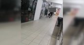 "Пинала ногой, била кулаками": женщина ломилась в закрытый отдел ТЦ Пензы