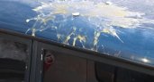 В Пензе неизвестные закидывают автомобили сырыми яйцами