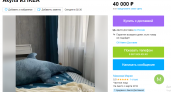 Чистая спекуляция: в Пензе продают Акулу из ИKEA за 40 тысяч рублей
